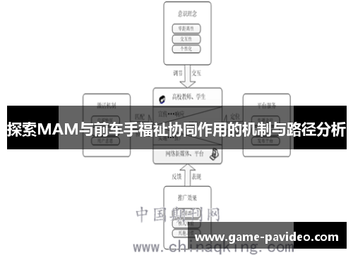 探索MAM与前车手福祉协同作用的机制与路径分析