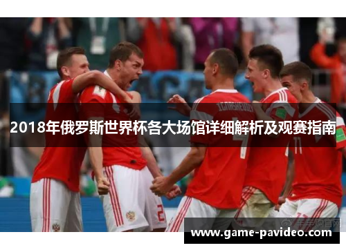 2018年俄罗斯世界杯各大场馆详细解析及观赛指南