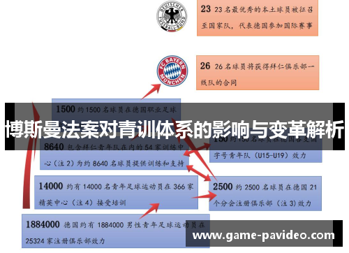 博斯曼法案对青训体系的影响与变革解析