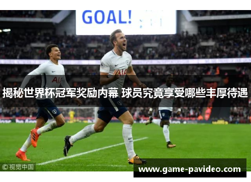 揭秘世界杯冠军奖励内幕 球员究竟享受哪些丰厚待遇