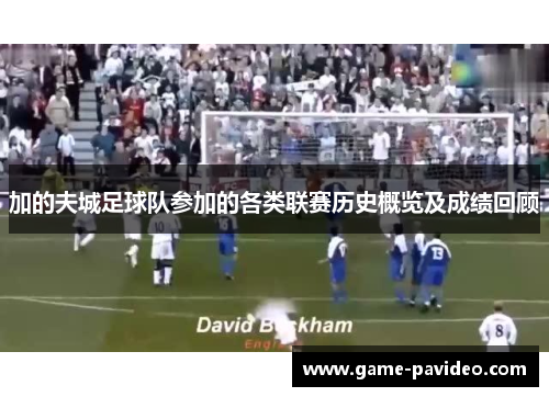 加的夫城足球队参加的各类联赛历史概览及成绩回顾